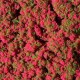 76932 Auhagen Flower mat red